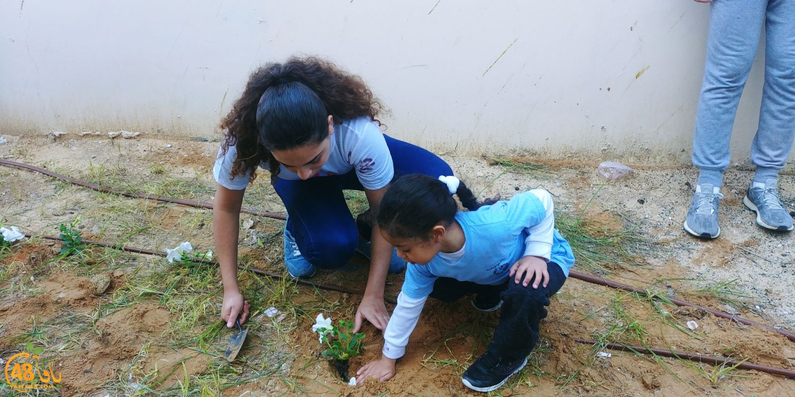 yaffafuture3jhq (13).jpg